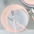 Luxe Party Blush Silver Rim Round Plastic Dinner Plate 10.25"- 10 pcs addl-1