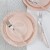 Luxe Party Blush Silver Rim Round Plastic Dinner Plate 10.25"- 10 pcs addl-3