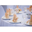 TigerChef Champagne Linen Cloth Oversized Dinner Napkins, 20" x 20", 100/Pack addl-1