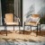 Flash Furniture 2-TLH-037-BGE-GG Lila Beige Rattan Indoor/Outdoor Restaurant Stack Chair, Set of 2 addl-1