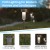 Flash Furniture DN-SL104-12-SS-GG 12 Pack Stainless Steel LED Solar Lights, Weather Resistant Outdoor Solar Powered Lights addl-4