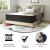 Flash Furniture DR-E230P-R-Q-12-GY-GG Dream 12" Hybrid Mattress, Queen Size High Density Foam and Pocket Spring Mattress in a Box addl-3