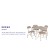Flash Furniture JB-1-TAN-GG 5 Piece Tan Folding Card Table and Chair Set addl-3