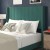 Flash Furniture YK-1079-GR-Q-GG Queen Upholstered Platform Bed with Vertical Stitched Wingback Headboard, Emerald Velvet addl-5