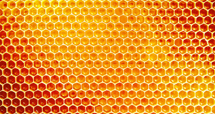 Organic honey certification