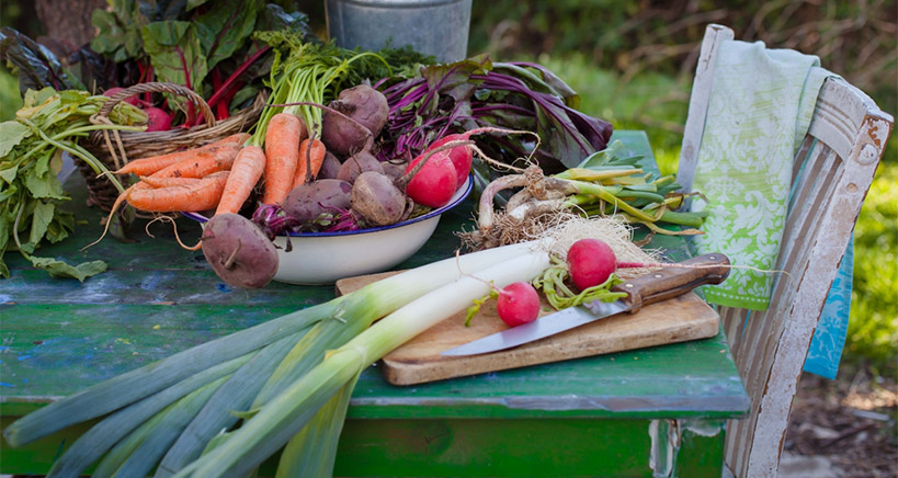 Plant-Based Foods Take the Market by Storm