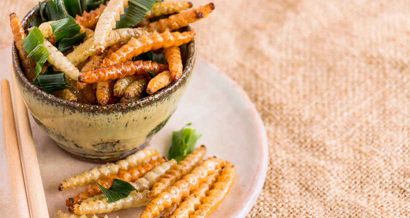 Discover how adding trending edible insects to recipes is a nutritional win-win. 
