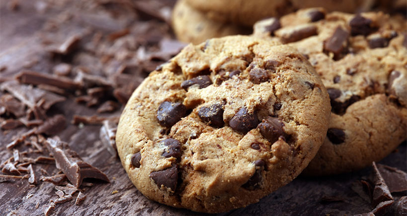 Chocolate chip cricket cookies