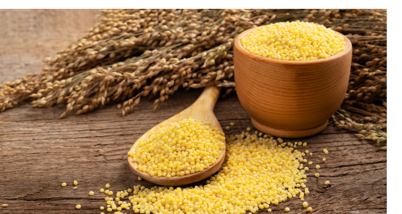  Millet is a trending gluten-free superfood.