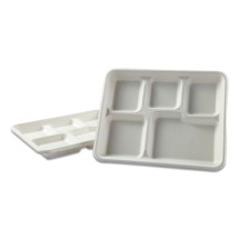 Bagasse Molded Fiber Dinnerware, 5-Compartment Tray, White 8" x 12" , 500/Carton