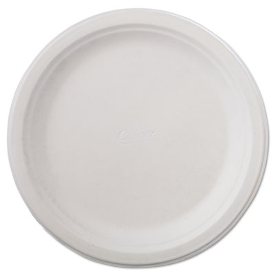 Classic Paper Dinnerware, Plate, 9 3/4