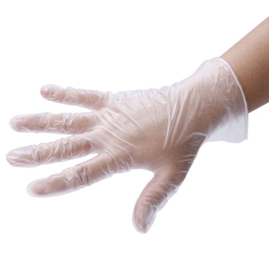 Disposable Safety Gloves - Vinyl Latex Free Gloves - Non Sterile Powder Free Gloves, 100/Box