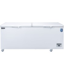 Dukers BD/BG-760 Solid Door Chest Freezer 24 cu. ft.