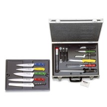 Friedr. Dick 8116600 Chef's HACCP Knife Set with Carry Case, 18-Piece