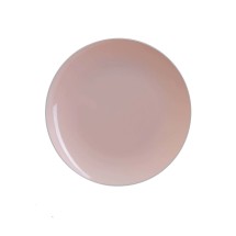 Luxe Party Blush Silver Rim Round Plastic Dinner Plate 10.25"- 10 pcs