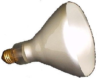 Nemco 66118 Shatter-Resistant 250-Watt Infrared Bulb, White