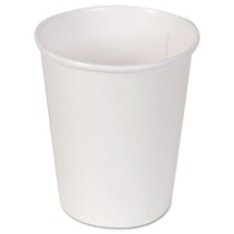 Paper Cups, Hot, 10oz, White, 20/Carton