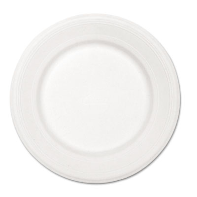 Paper Dinnerware, Plate, 10 1/2