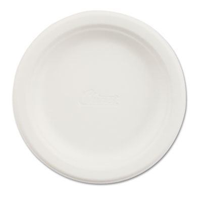 Paper Dinnerware, Plate, 6