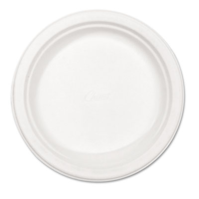 Paper Dinnerware, Plate, 8 3/4
