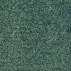 Rely-On Olefin Indoor Wiper  3'X4' Matevergreen