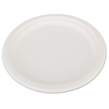 SCT 10&quot; Heavyweight Bagasse Pulp Paper Plate